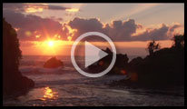 Click on Image to View Video Sampler
